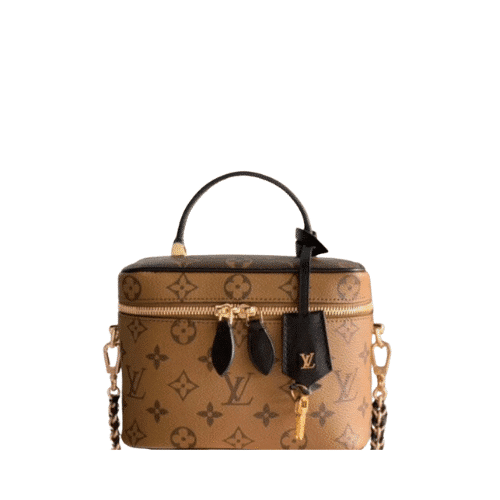 Louis Vuitton Monogram Vanity PM Brown 19Cm M45165