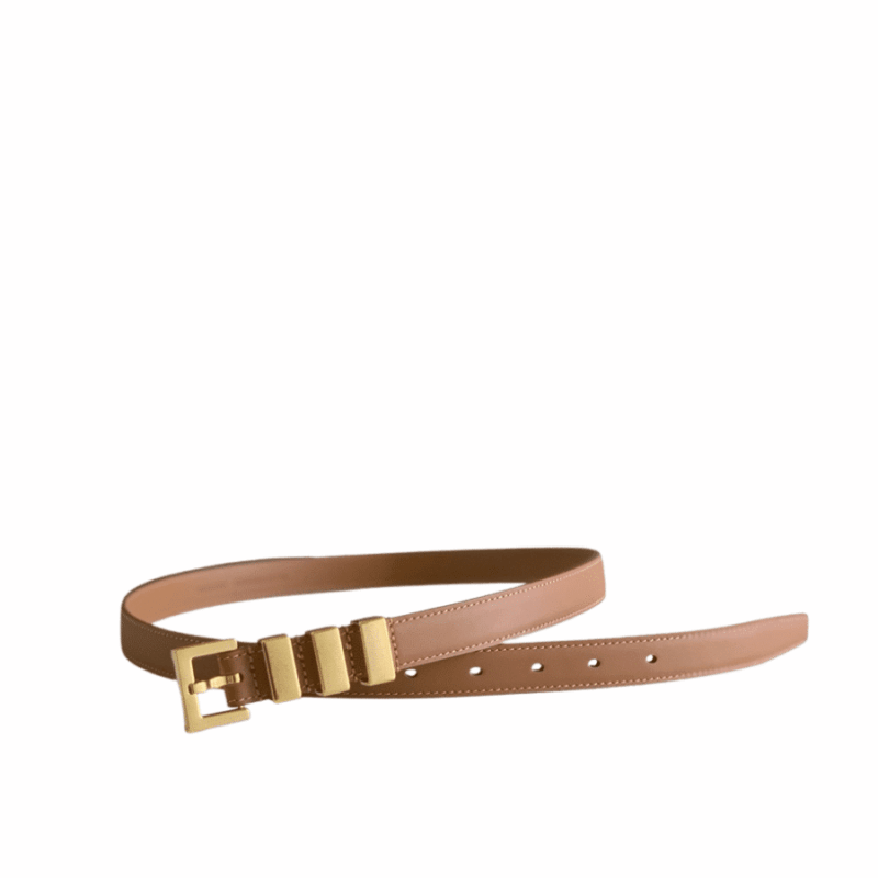 Saint Laurent Passants Brown And Gold Belt 3146292551
