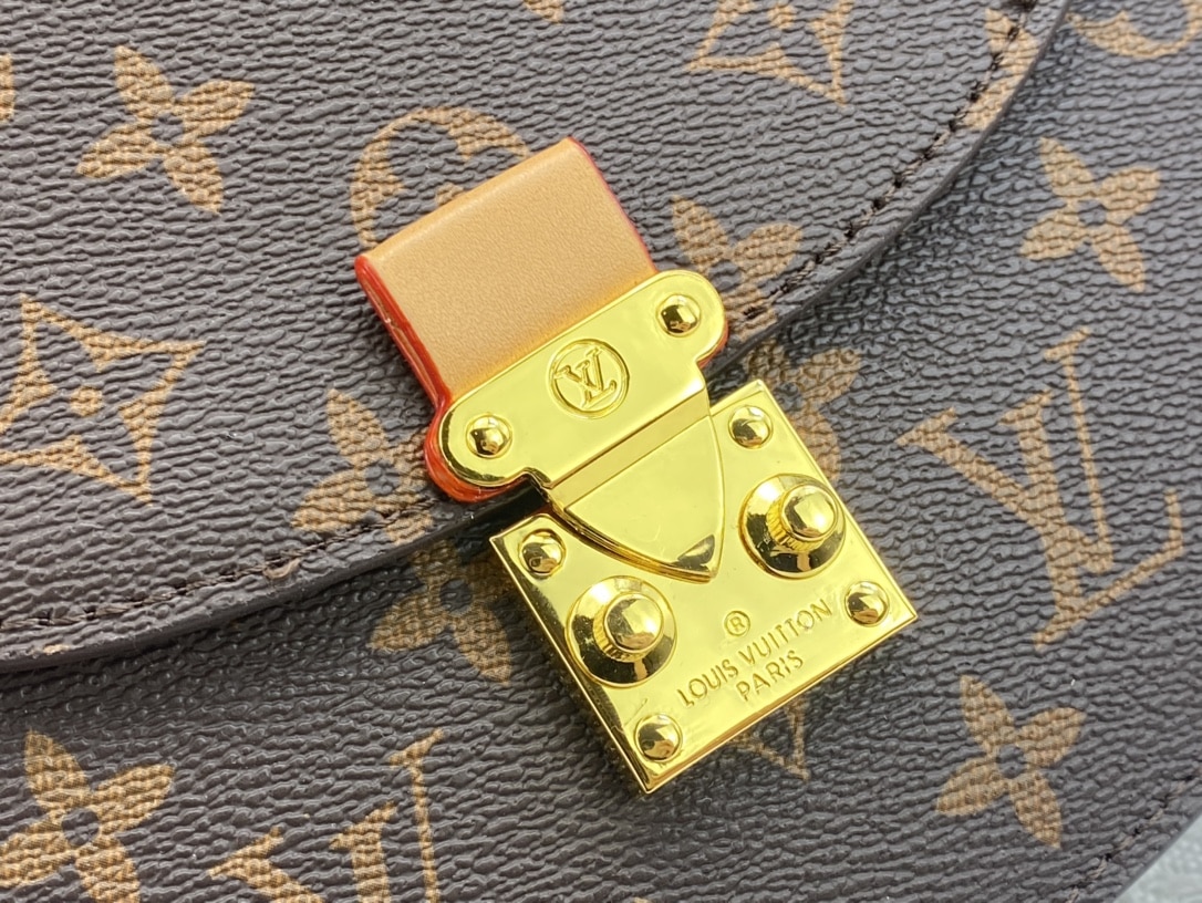 Louis Vuitton Tilsitt Bag Full Brown 23Cm - Image 6