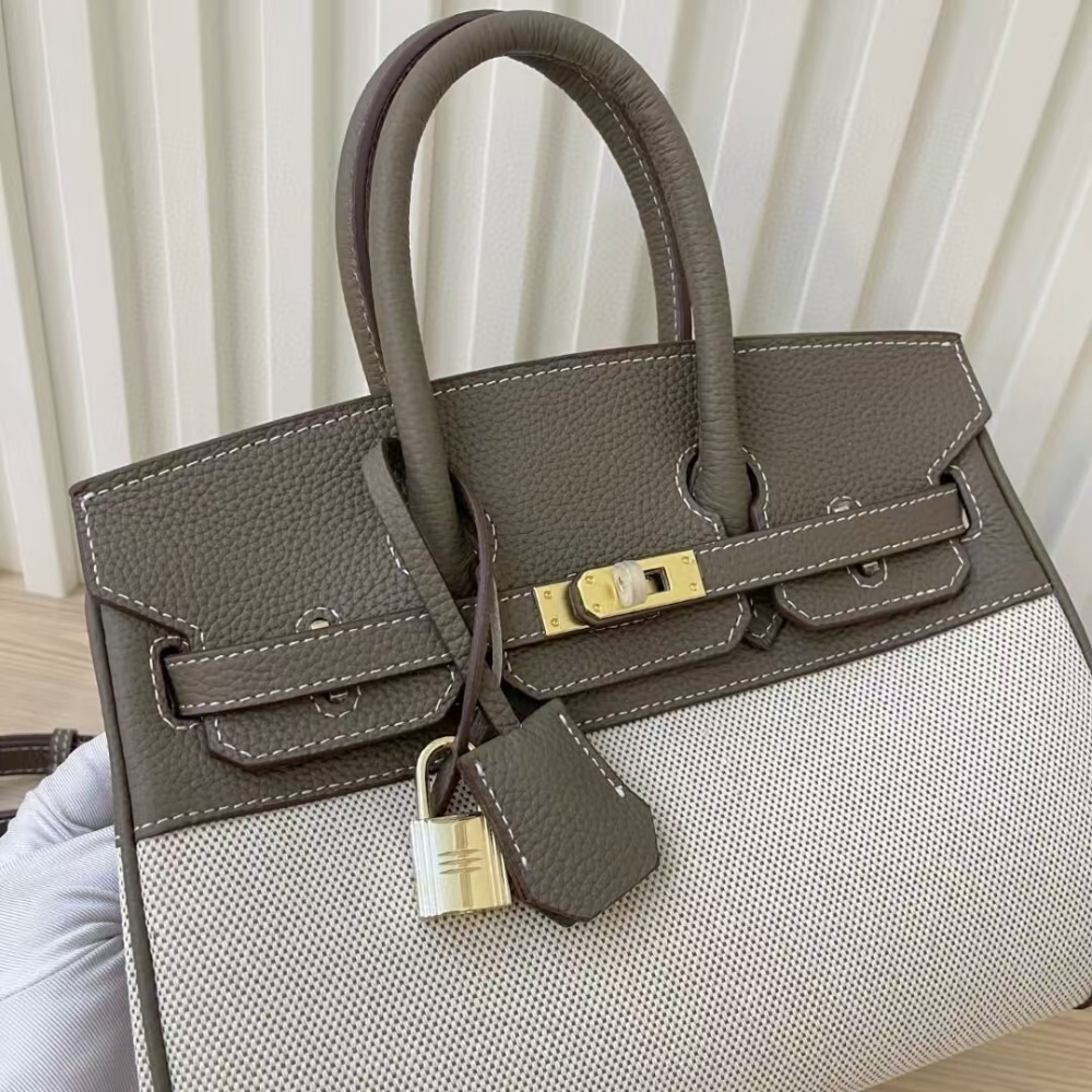 Hermes Birkin 25 Two Tone Toile Canvas Gold Hardware Grey 25Cm - Image 2