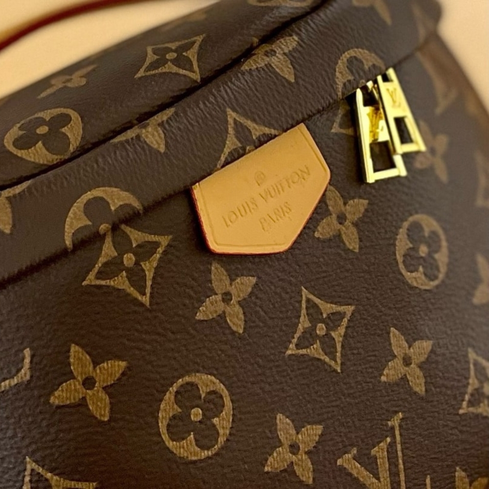 Louis Vuitton Bumbag Monogram 26Cm M43644 - Image 7