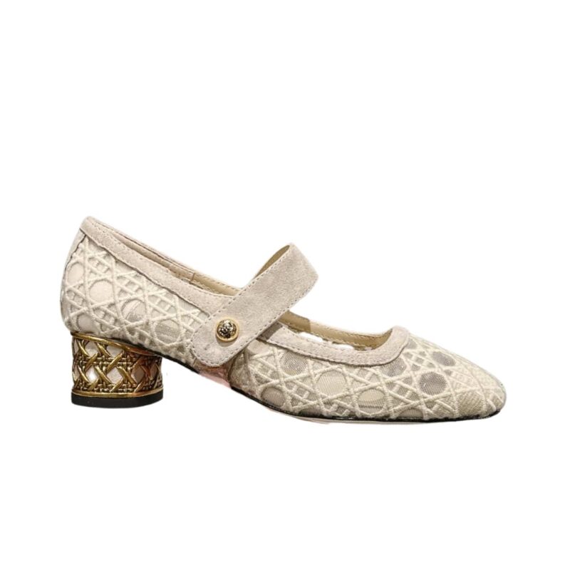 DIOR ICON PUMP TRANSPARENT MESH WITH CANNAGE MOTIF IN BEIGE