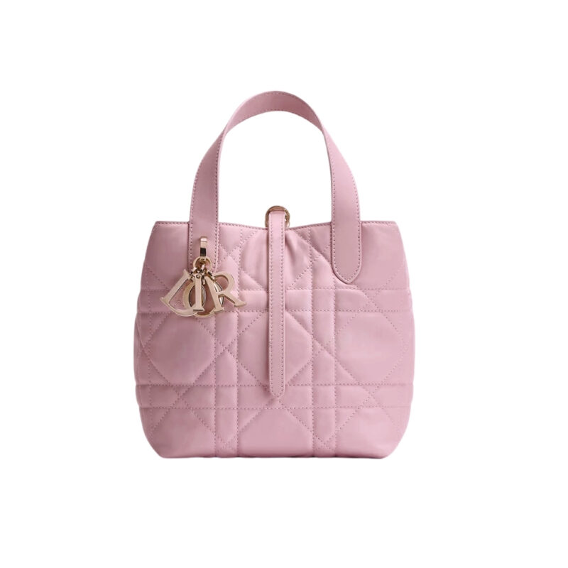 Dior Small Dior Toujours Vertical Tote Bag Pink 18Cm M2835OSNW M29N
